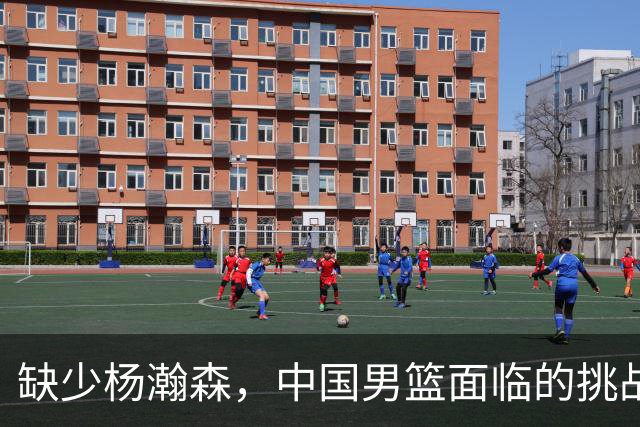缺少杨瀚森，中国男篮面临的挑战有多大